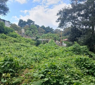 TERRENO EN VENTA EN SAN LUCAS SACATEPEQUEZ