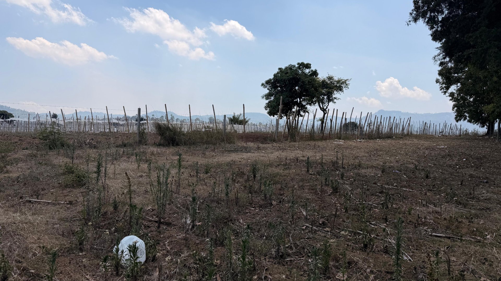 Terreno en Venta Sumpango, Sacatepéquez: 3.7 Hectáreas para su Proyecto - Miniatura 10