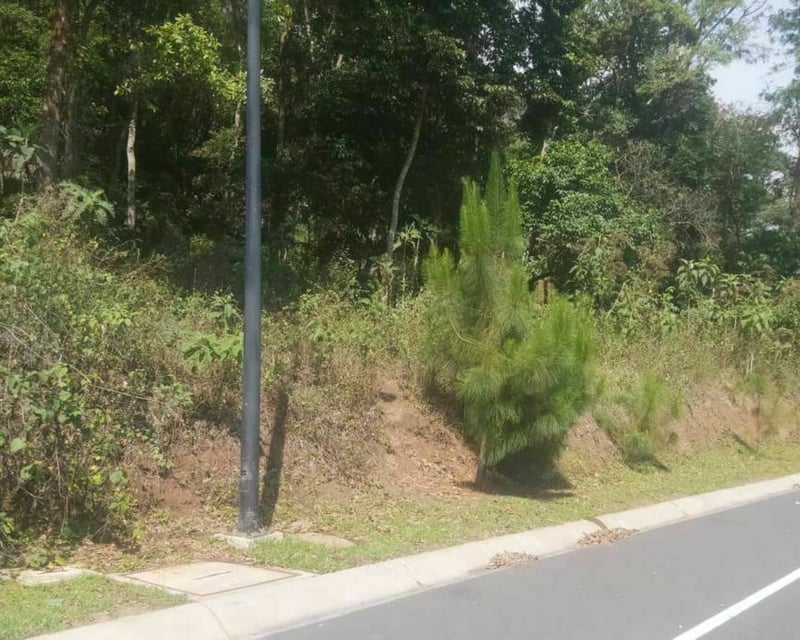 Terreno en  VENTA en El Pulte Z.16