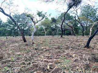 TERRENO EN VENTA EN FRAIJANES - 4