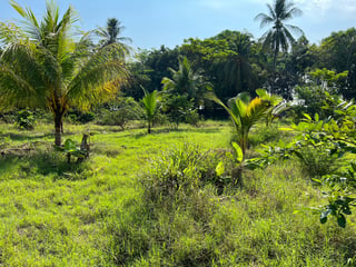 TERRENO EN VENTA EN ESCUINTLA - 3