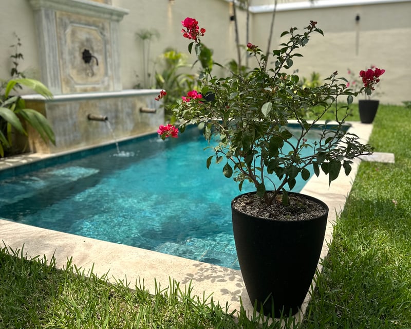PRECIOSA CASA DENTRO DE CONDOMINIO CERCANO A CIUDAD VIEJA