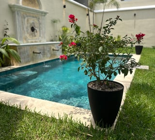 PRECIOSA CASA DENTRO DE CONDOMINIO CERCANO A CIUDAD VIEJA