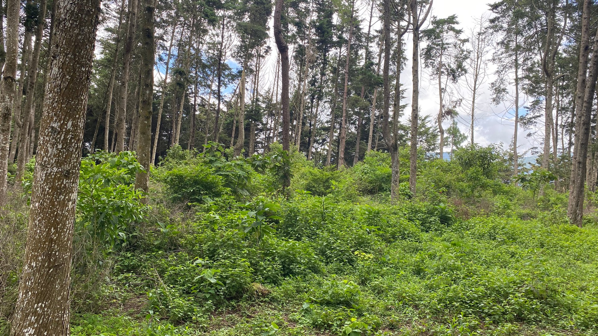 Terreno en Venta Aldea El Platanar, San José Pinula, Guatemala - Miniatura 3