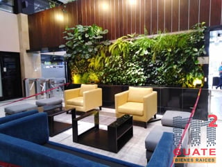 Oficina en Renta, Zona 10 (R8728) - 5