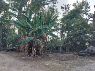 Terreno en Venta Carretera a Colmenas Guatemala - Image 10