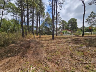 VENTA Terreno Km. 43 Residencial Hacienda Las Llanuras Sumpango  - 4