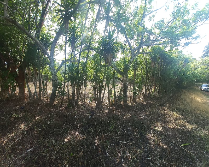 Terreno en venta Granjas Valle de Montebello/vas