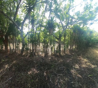 Terreno en venta Granjas Valle de Montebello/vas