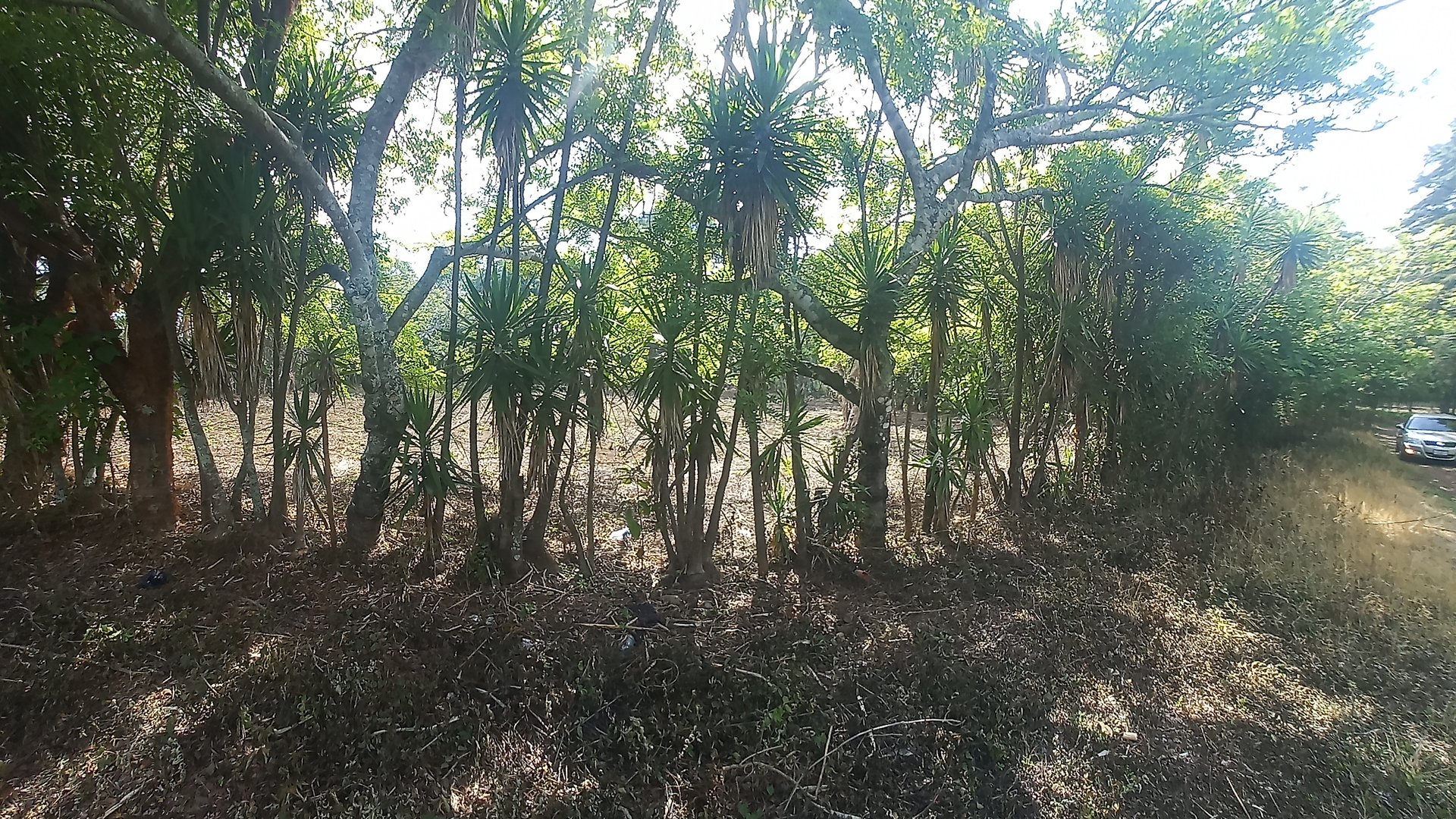 Terreno en venta Granjas Valle de Montebello/vas