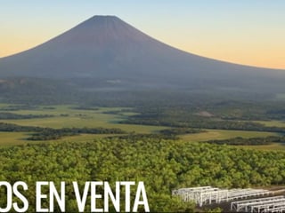 10,000 Varas de Terreno Industrial venta en Escuintla - 2