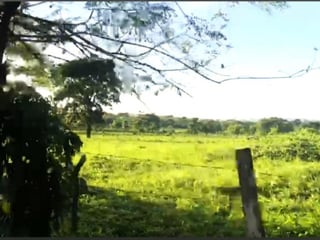 Terreno en Venta en La Libertad, Peten - Image 3
