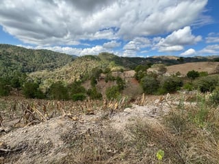 SAN PEDRO AYAMPUC/ FINCA EN VENTA PARA DESARROLLO - 3