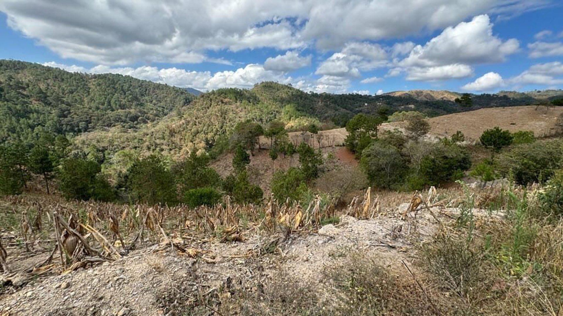 SAN PEDRO AYAMPUC/ FINCA EN VENTA PARA DESARROLLO - Miniatura 3