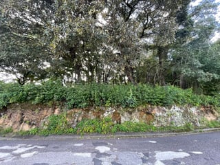 Terreno en venta en El Encinal zona 7 de Mixco Ref-5362 - 3