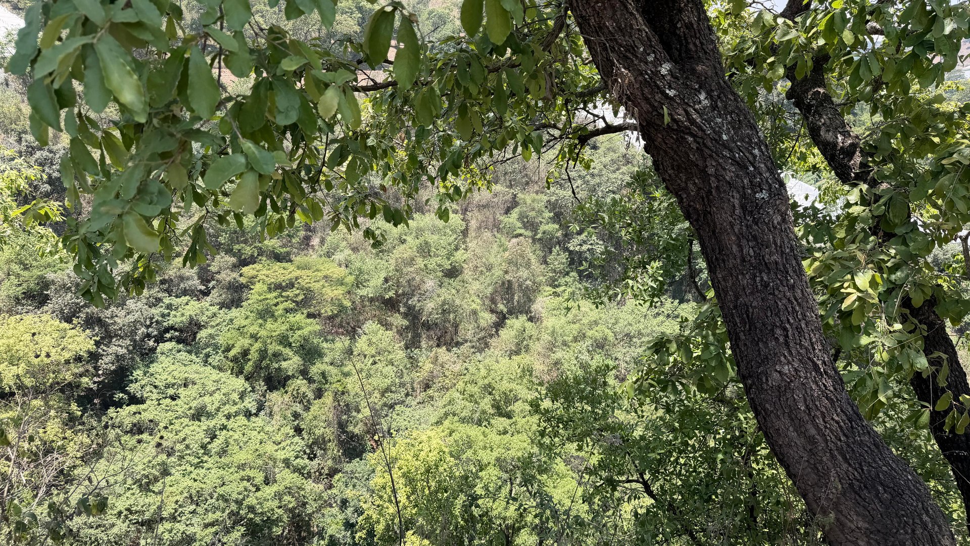 Terreno en Venta Sumpango, Sacatepéquez: 3.7 Hectáreas para su Proyecto - Miniatura 14