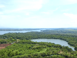 TERRENO EN VENTA EN RIO DULCE - Image 1