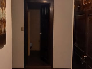 APARTAMENTO AMUEBLADO EN ZONA 9 - 4