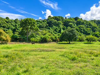 Terreno en venta sobre VAS Atanasio – 17,500 varas² - 3