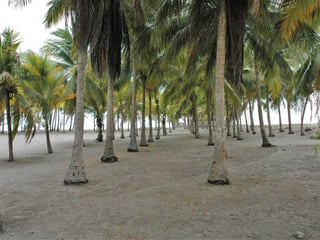 Land for Sale in Tulate, Guatemala - 7185 m² - $199,000 - Image 23