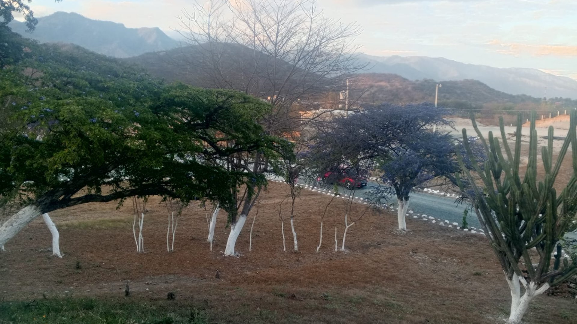 Terreno en Venta / Prados de Usumatlán, Zacapa - Miniatura 7