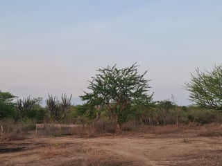 Terreno Comercial en venta en Zacapa - Image 3