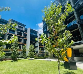 Vendo lindos apartamentos en Edificio Maranta zona 10