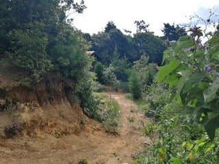 Terreno en venta en Piedra Parada, CES Guatemala - Image 10