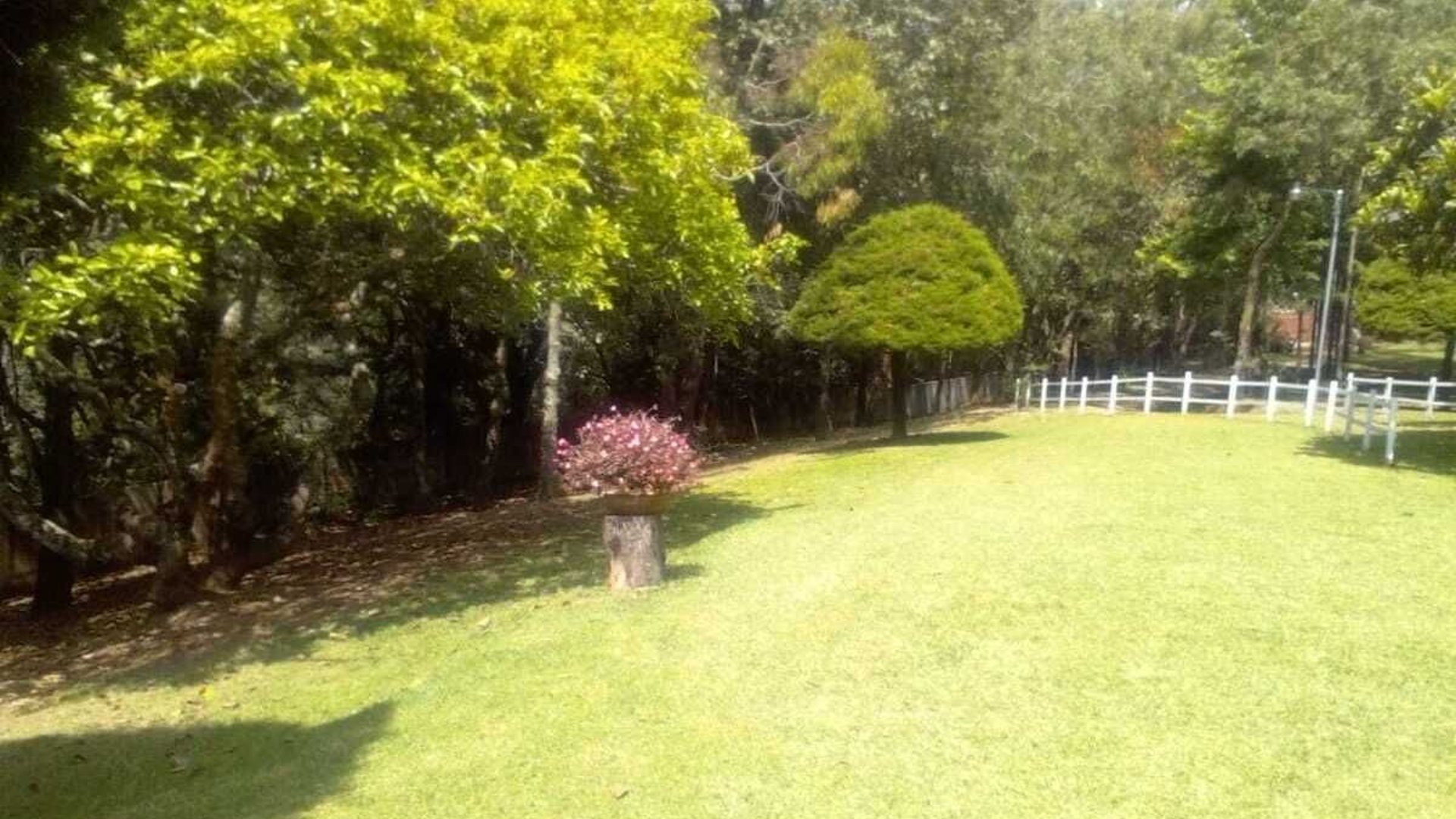 Granja en Venta – Cerro Alux, San Lucas Sacatepéquez