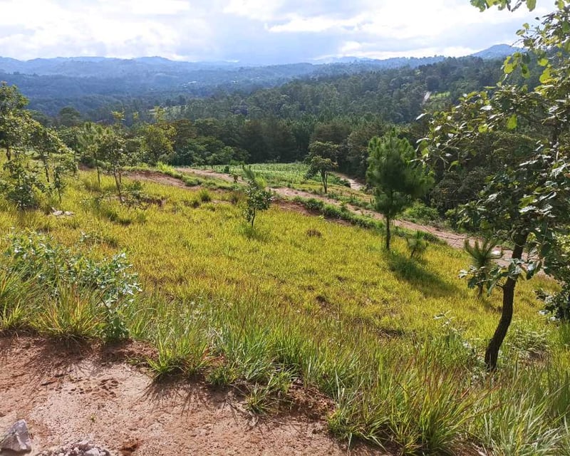 Vendo Lotes en San Martin Jilotepeque, Chimaltenango