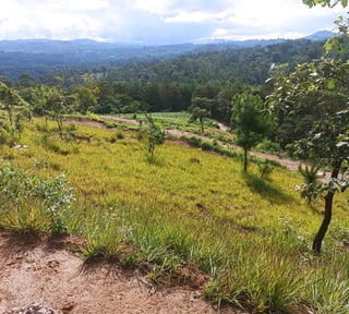 Vendo Lotes en San Martin Jilotepeque, Chimaltenango