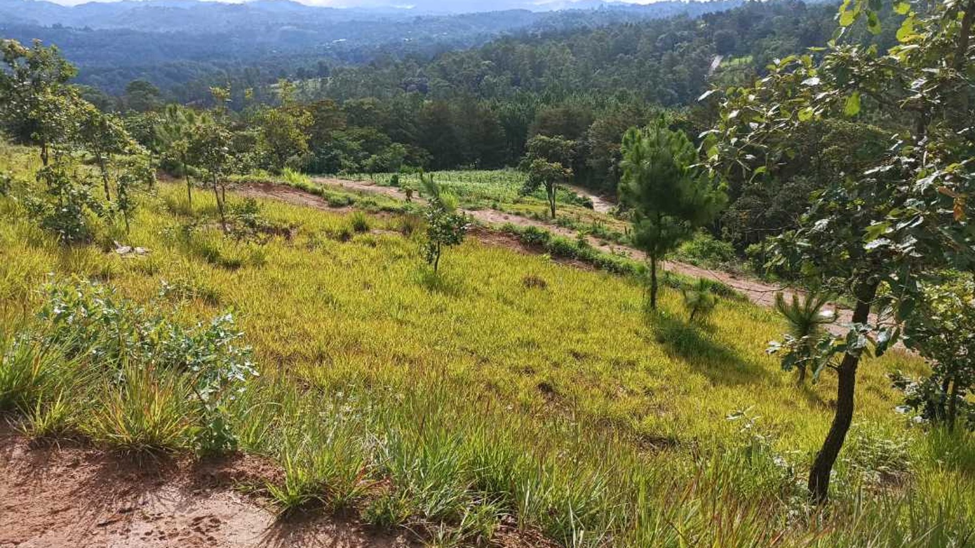 Vendo Lotes en San Martin Jilotepeque, Chimaltenango