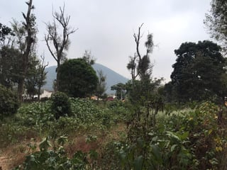 TERRENO A LA VENTA EN CASCO DE  ANTIGUA GUATEMALA. - 3