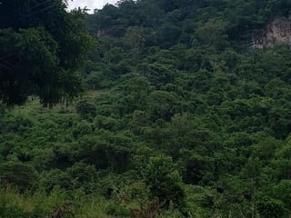 Terreno en Venta a 3 minutos de Panajachel Solola - Image 6