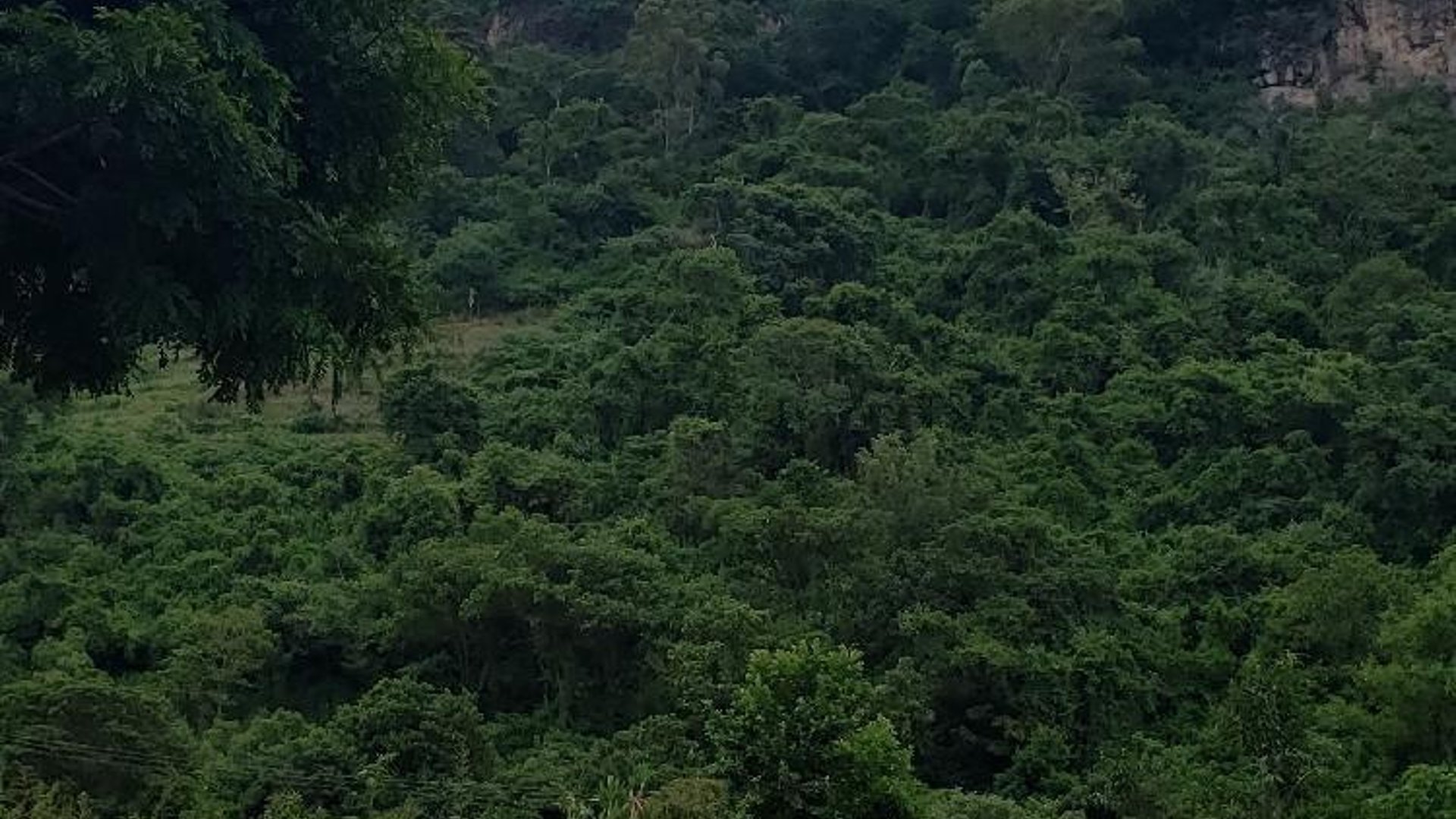 Terreno en Venta a 3 minutos de Panajachel Solola - Miniatura 6