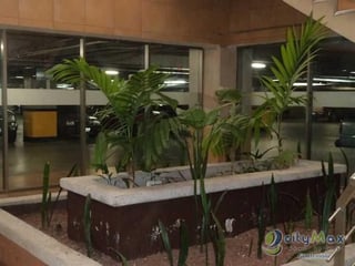 Local en Food Court zona 17 - 4