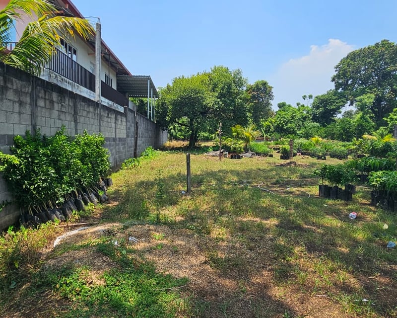 📍 TERRENO EN VENTA – 1,500 M² | QUINTAS VALLARTA | ESCUINTLA
