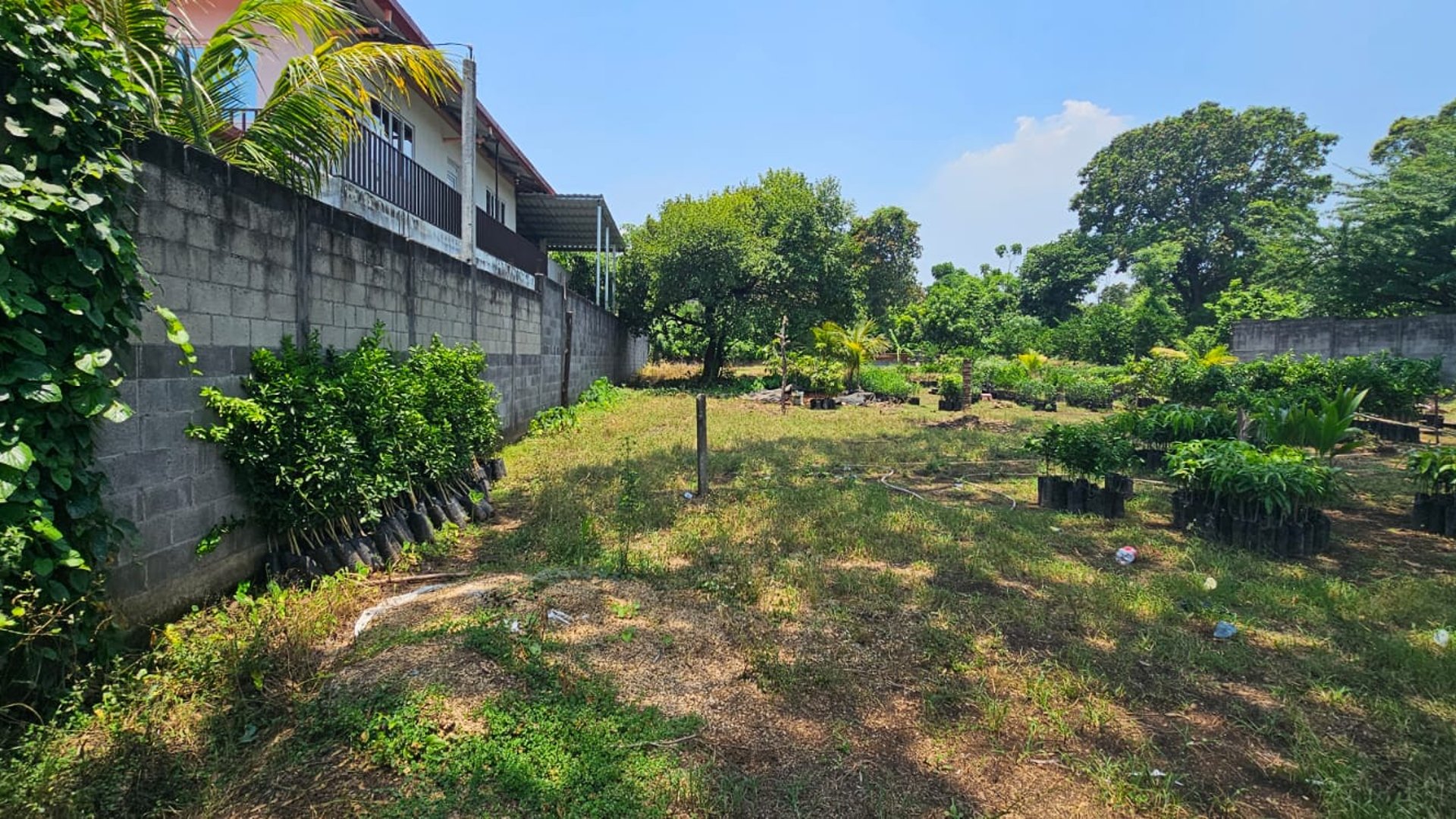 ???? TERRENO EN VENTA – 1,500 M² | QUINTAS VALLARTA | ESCUINTLA - Image 1