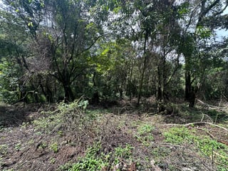 VENTA TERRENO EN GRANJA BUENOS AIRES CAES - 5