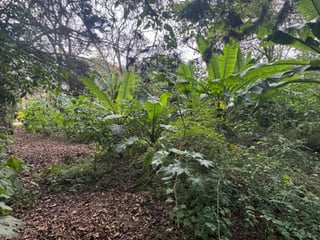 Terreno en Venta en Carretera San Lucas hacia Antigua - Image 6