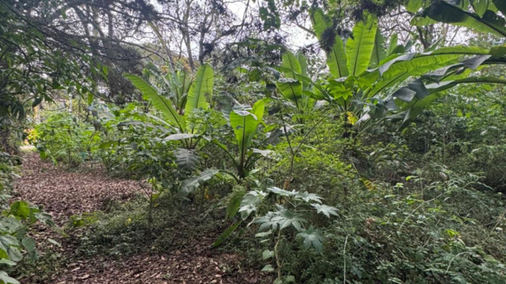 Terreno en Venta en Carretera San Lucas hacia Antigua - Miniatura 6