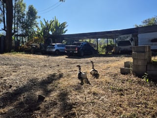 Terreno en Venta Carretera a Colmenas Guatemala - Image 14