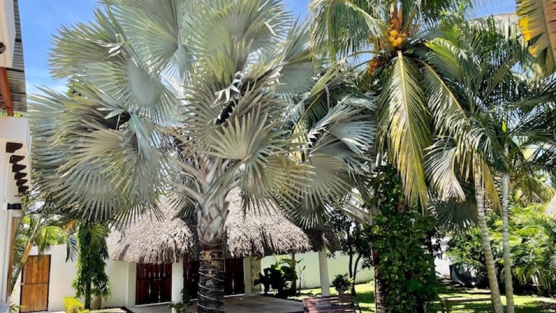 CASA DE PLAYA EN CONDOMINIO MARENA EN RENTA - Miniatura 5