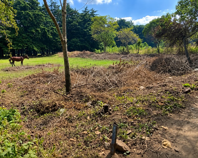 Terreno plano con vista al Volcán de Agua | Santa María de Jesús