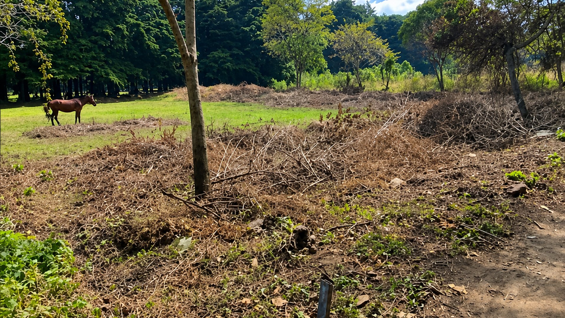 Terreno plano con vista al Volcán de Agua | Santa María de Jesús
