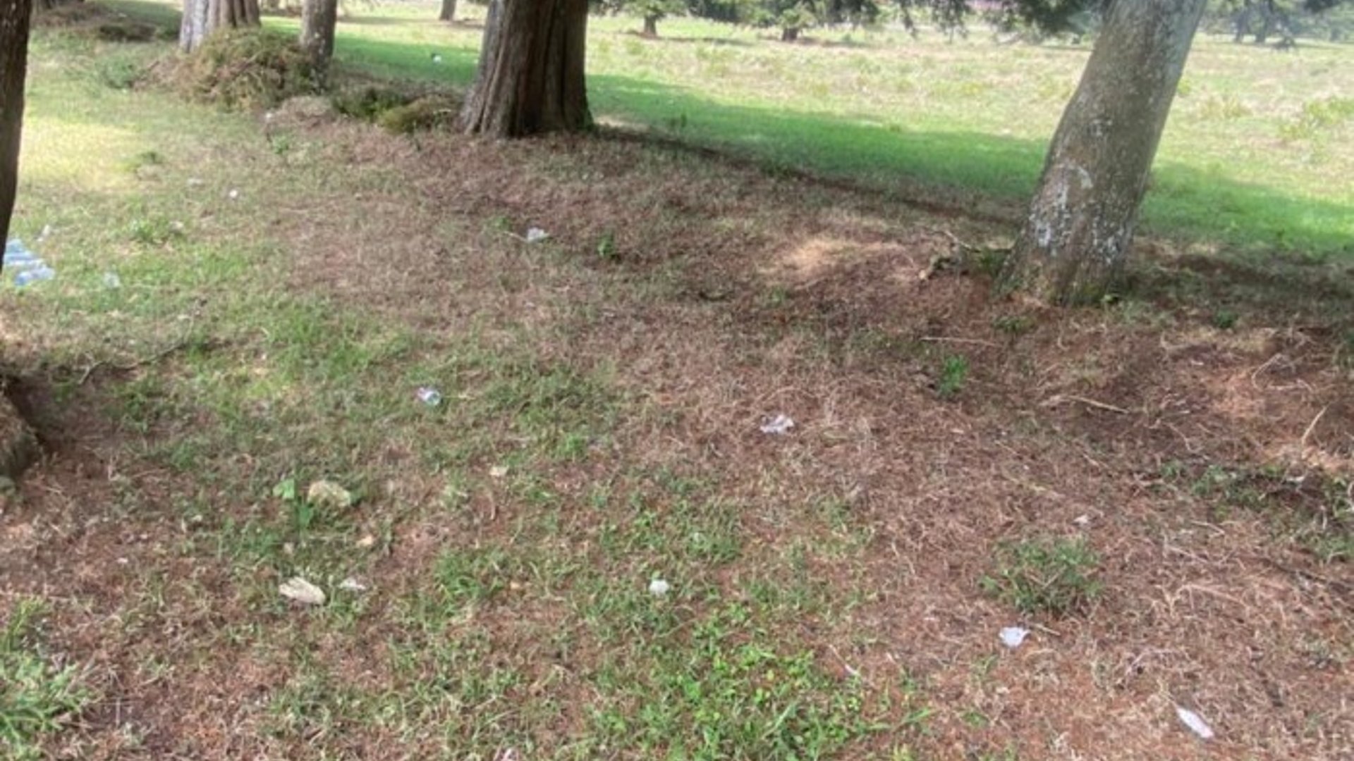 venta de terreno en carretera a el salvador - Miniatura 3