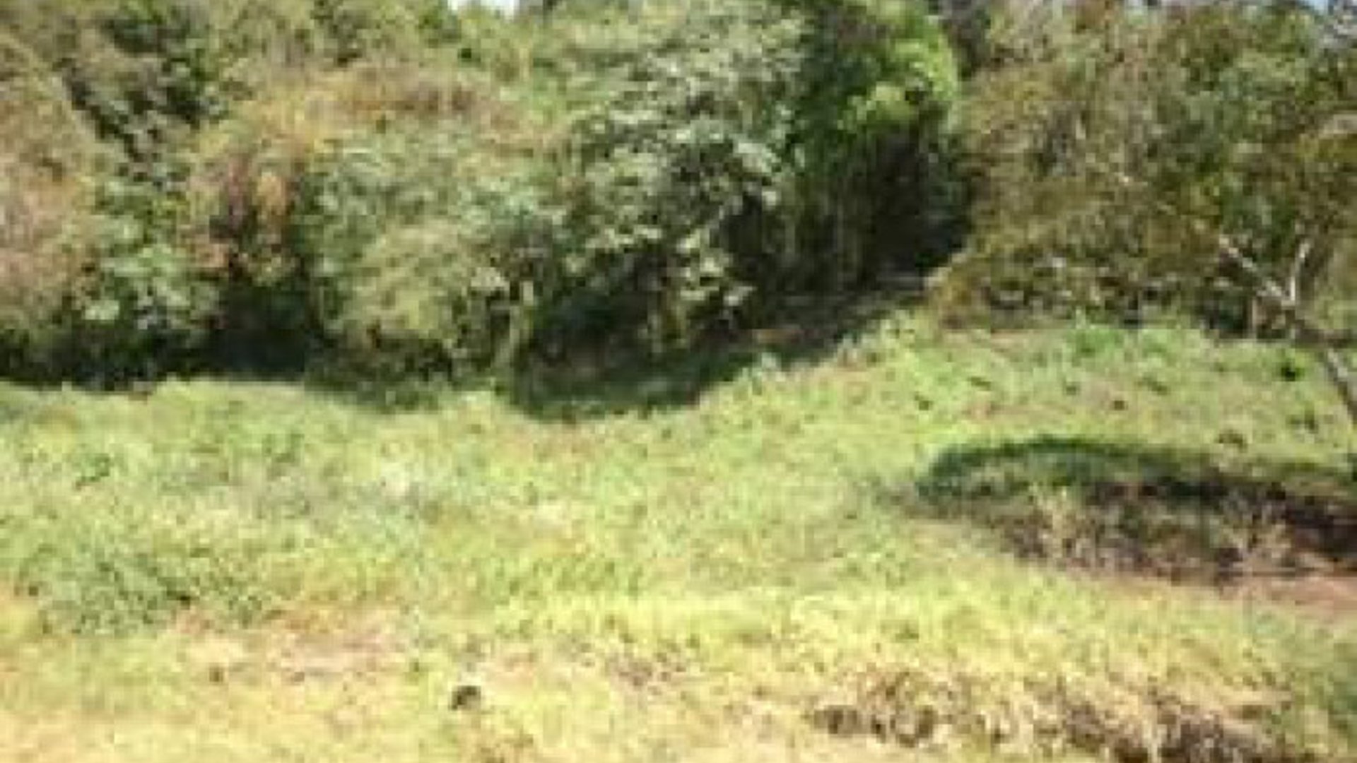 Terreno en Venta en Carretera a El Salvador km 20.5
