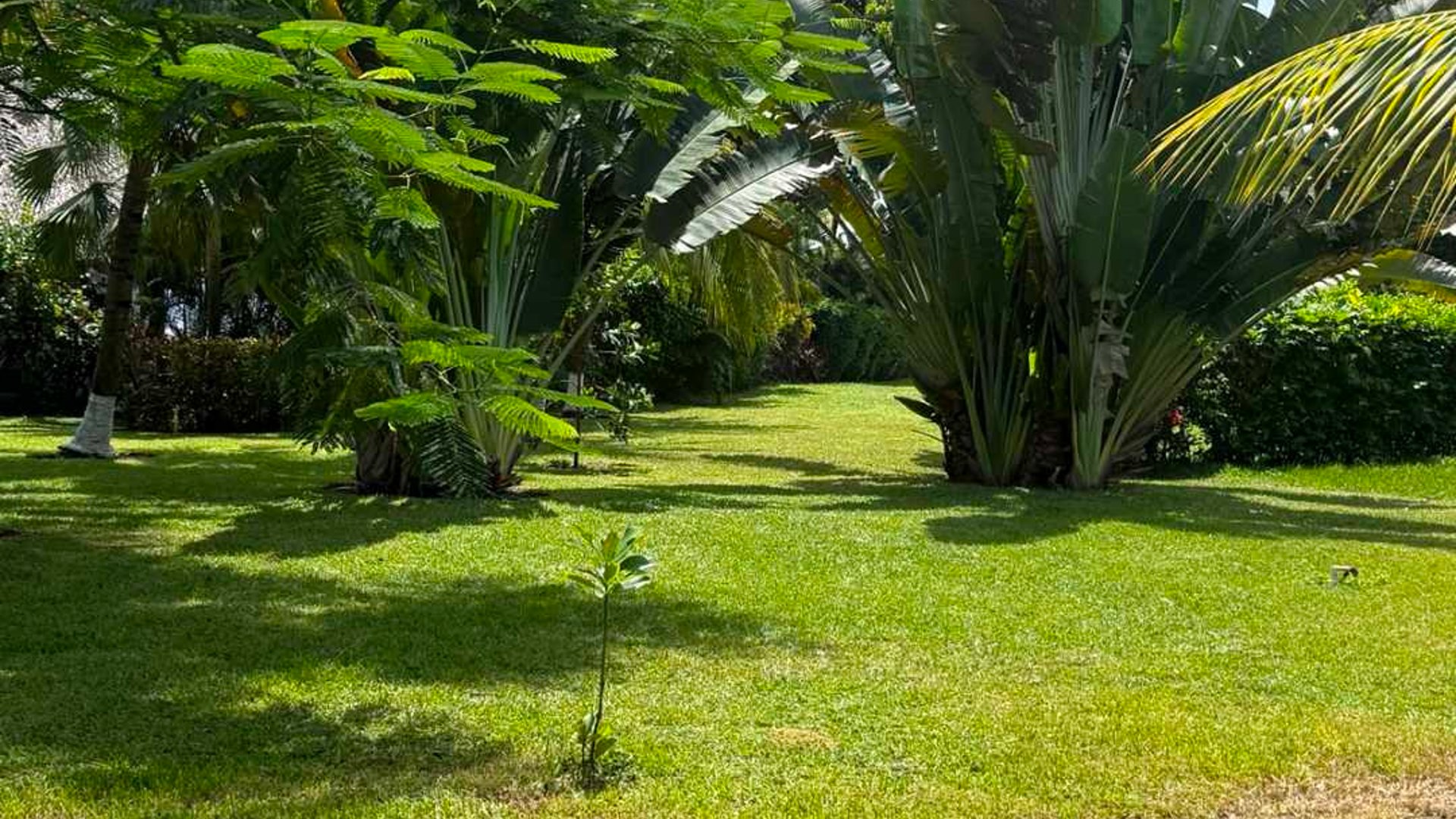 PACIFIC ALL SEASON  CASA EN VENTA - Miniatura 12
