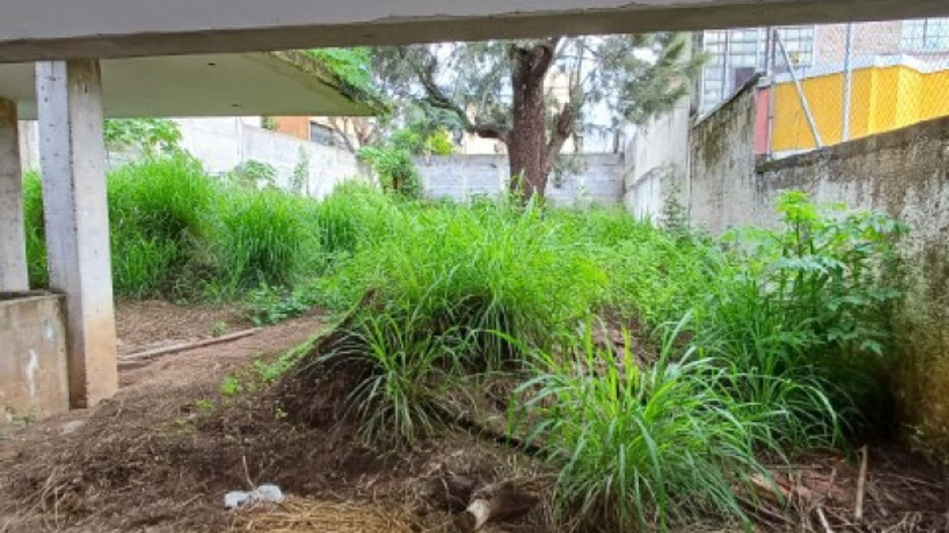 Terreno en Renta San Cristóbal, construcción iniciada - Miniatura 3