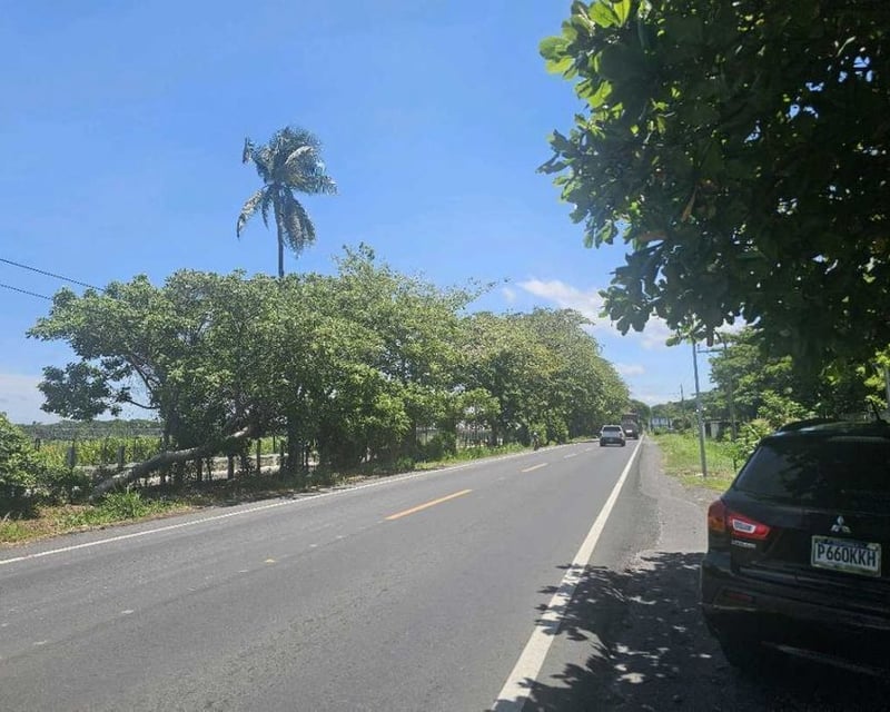 Terreno en Venta – Puerto de San José